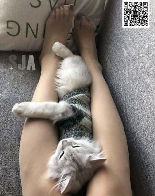 沧元图免费观看全集在线高清_字幕高清版在线播放